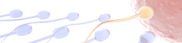 Sperm
